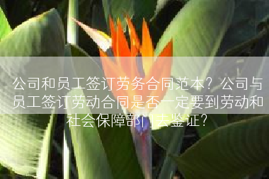 公司和员工签订劳务合同范本？公司与员工签订劳动合同是否一定要到劳动和社会保障部门去鉴证？
