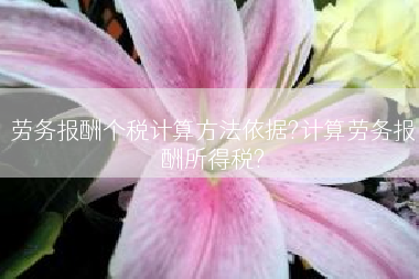 劳务报酬个税计算方法依据?计算劳务报酬所得税?