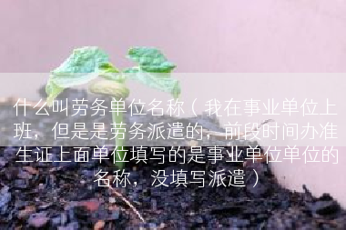 什么叫劳务单位名称（我在事业单位上班，但是是劳务派遣的，前段时间办准生证上面单位填写的是事业单位单位的名称，没填写派遣）