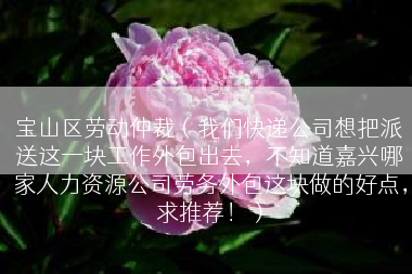 宝山区劳动仲裁（我们快递公司想把派送这一块工作外包出去，不知道嘉兴哪家人力资源公司劳务外包这块做的好点，求推荐！）