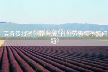 劳务费扣税计算方法?有关劳务费税费问题?