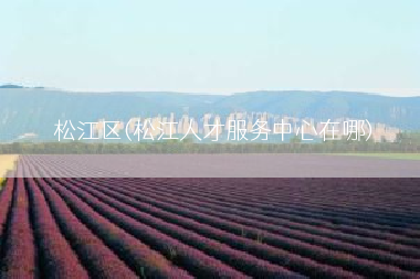松江区(松江人才服务中心在哪)