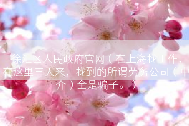 徐汇区人民政府官网（在上海找工作，在这里三天来，找到的所谓劳务公司（中介）全是骗子。）