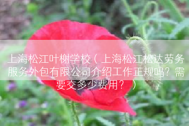 上海松江叶榭学校（上海松江松达劳务服务外包有限公司介绍工作正规吗？需要交多少费用？）