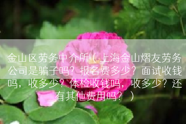 金山区劳务中介所（上海金山熠友劳务公司是骗子吗？报名费多少？面试收钱吗，收多少？体检收钱吗，收多少？还有其他费用吗？）
