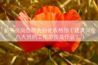 劳务员岗位职责细化表格图（建筑岗位八大员的工作范围是什么？）