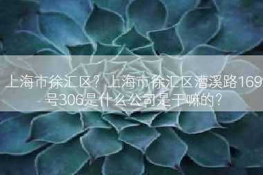 上海市徐汇区？上海市徐汇区漕溪路169号306是什么公司是干嘛的？