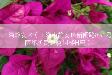 上海静安区（上海市静安区新闸路831号丽都新贵大厦14楼H座）