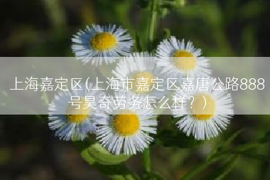 上海嘉定区(上海市嘉定区嘉唐公路888号昊奇劳务怎么样？)