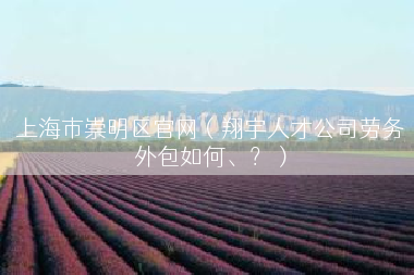 上海市崇明区官网（翔宇人才公司劳务外包如何、？）