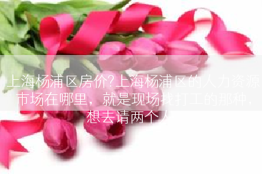 上海杨浦区房价?上海杨浦区的人力资源市场在哪里，就是现场找打工的那种，想去请两个人?