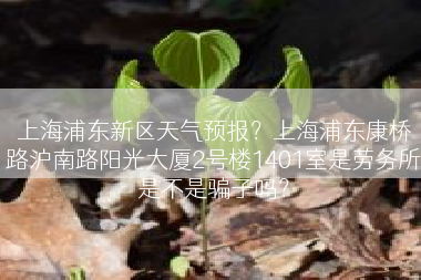 上海浦东新区天气预报？上海浦东康桥路沪南路阳光大厦2号楼1401室是劳务所是不是骗子吗？