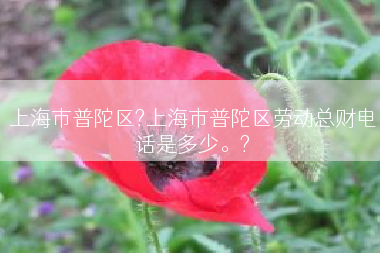 上海市普陀区?上海市普陀区劳动总财电话是多少。?