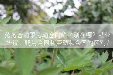 劳务合同跟劳动合同的区别在哪？就业协议、聘用合同和劳动和合同的区别？