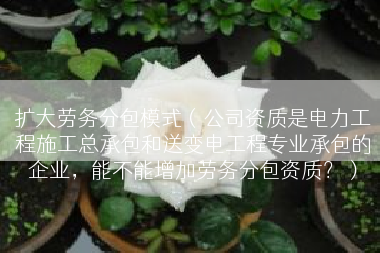 扩大劳务分包模式（公司资质是电力工程施工总承包和送变电工程专业承包的企业，能不能增加劳务分包资质？）