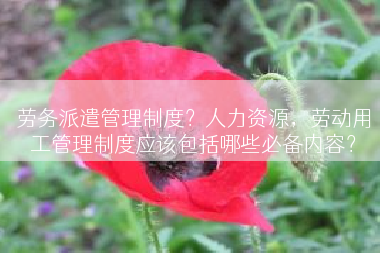 劳务派遣管理制度？人力资源，劳动用工管理制度应该包括哪些必备内容？