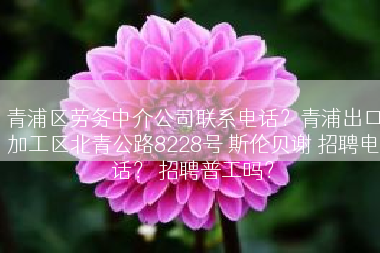 青浦区劳务中介公司联系电话？青浦出口加工区北青公路8228号 斯伦贝谢 招聘电话？ 招聘普工吗？