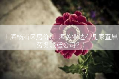 上海杨浦区房价(上海英业达有几家直属劳务派遣公司？)