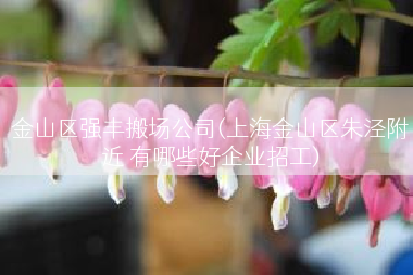 金山区强丰搬场公司(上海金山区朱泾附近 有哪些好企业招工)