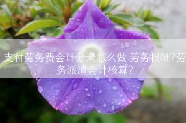 支付劳务费会计分录怎么做 劳务报酬?劳务派遣会计核算?