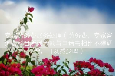 专家劳务费账务处理（劳务费，专家咨询费科目所列金额与申请书相比不得调增，可以减少吗）
