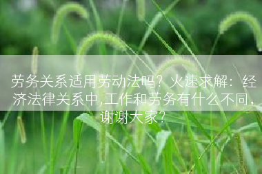 劳务关系适用劳动法吗？火速求解：经济法律关系中,工作和劳务有什么不同，谢谢大家？