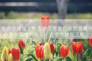 北京市建设工程专业劳务发包承包交易中心良乡隔夜评标区（北京市建设工程发包承包交易中心地址）