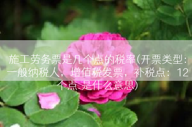 施工劳务票是几个点的税率(开票类型：一般纳税人，增值税发票，补税点：12个点.是什么意思)