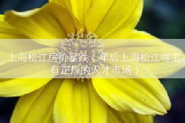 上海松江房价暴跌（年后上海松江哪里有正规的人才市场）