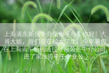 上海浦东新区中介集市平台（你好！大哥大姐，我们是在校大学生，今年暑假在上海浦东新区通过外面劳务中介公司，进了家台资电子企业公）