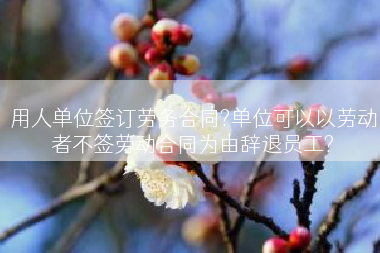 用人单位签订劳务合同?单位可以以劳动者不签劳动合同为由辞退员工?