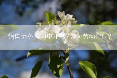 销售劳务合同电子版?公司劳动合同?