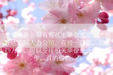 济南劳务公司有哪些（紧急求助，济南旺达国际人力公司，在经一路那，说交四万多，可以安排机关单位企业编制工作，真的假的，）