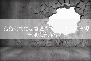 劳务公司信息管理系统（一个人力资源管理系统的名字）