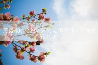 劳务报酬个税计算公式2020年？个税计算公式？