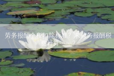 劳务报酬个税扣除标准？求劳务报酬税费计算……？