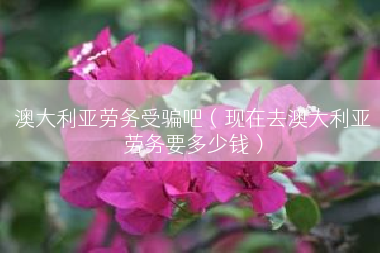 澳大利亚劳务受骗吧（现在去澳大利亚劳务要多少钱）