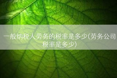 一般纳税人劳务的税率是多少(劳务公司税率是多少)