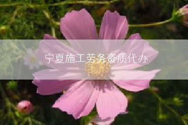 宁夏施工劳务资质代办