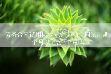 劳务合同试用期要求？劳动合同试用期三个月以上含3个月吗？