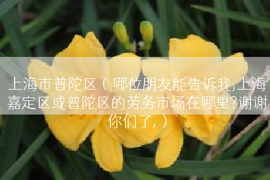 上海市普陀区（哪位朋友能告诉我,上海嘉定区或普陀区的劳务市场在哪里?谢谢你们了,）