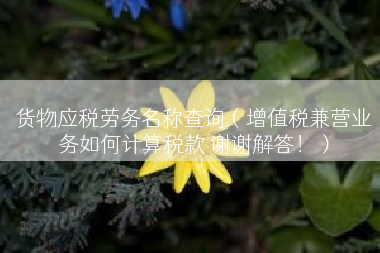 货物应税劳务名称查询（增值税兼营业务如何计算税款 谢谢解答！）