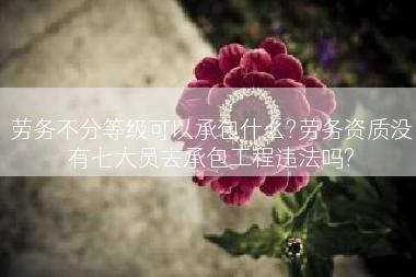 劳务不分等级可以承包什么?劳务资质没有七大员去承包工程违法吗?