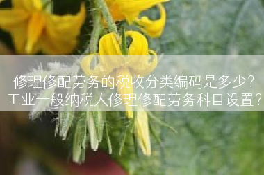 修理修配劳务的税收分类编码是多少？工业一般纳税人修理修配劳务科目设置？