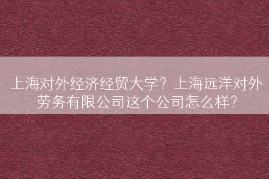 上海对外经济经贸大学？上海远洋对外劳务有限公司这个公司怎么样？