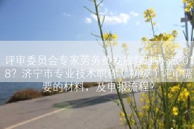 评审委员会专家劳务费发放管理办法2018？济宁市专业技术职称（初级）评审需要的材料，及申报流程？
