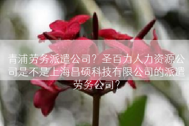 青浦劳务派遣公司？圣百力人力资源公司是不是上海昌硕科技有限公司的派遣劳务公司？