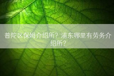 普陀区保姆介绍所？浦东哪里有劳务介绍所？