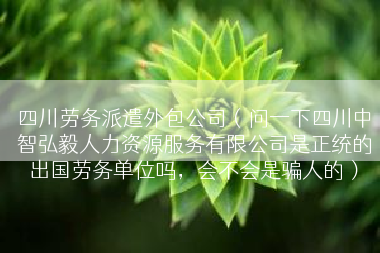 四川劳务派遣外包公司（问一下四川中智弘毅人力资源服务有限公司是正统的出国劳务单位吗，会不会是骗人的）