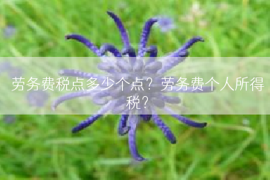 劳务费税点多少个点？劳务费个人所得税？